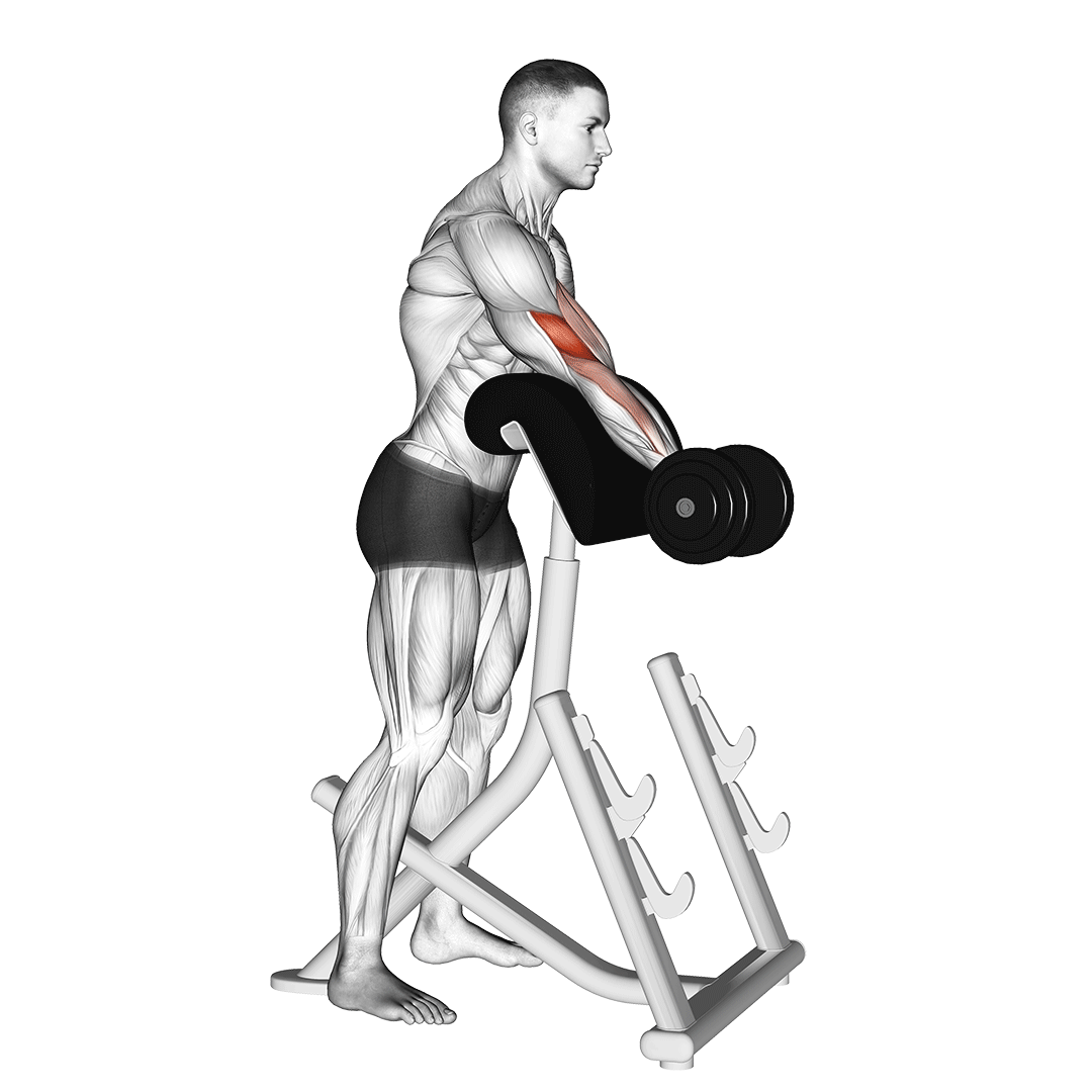 Exercise animation demo 2
