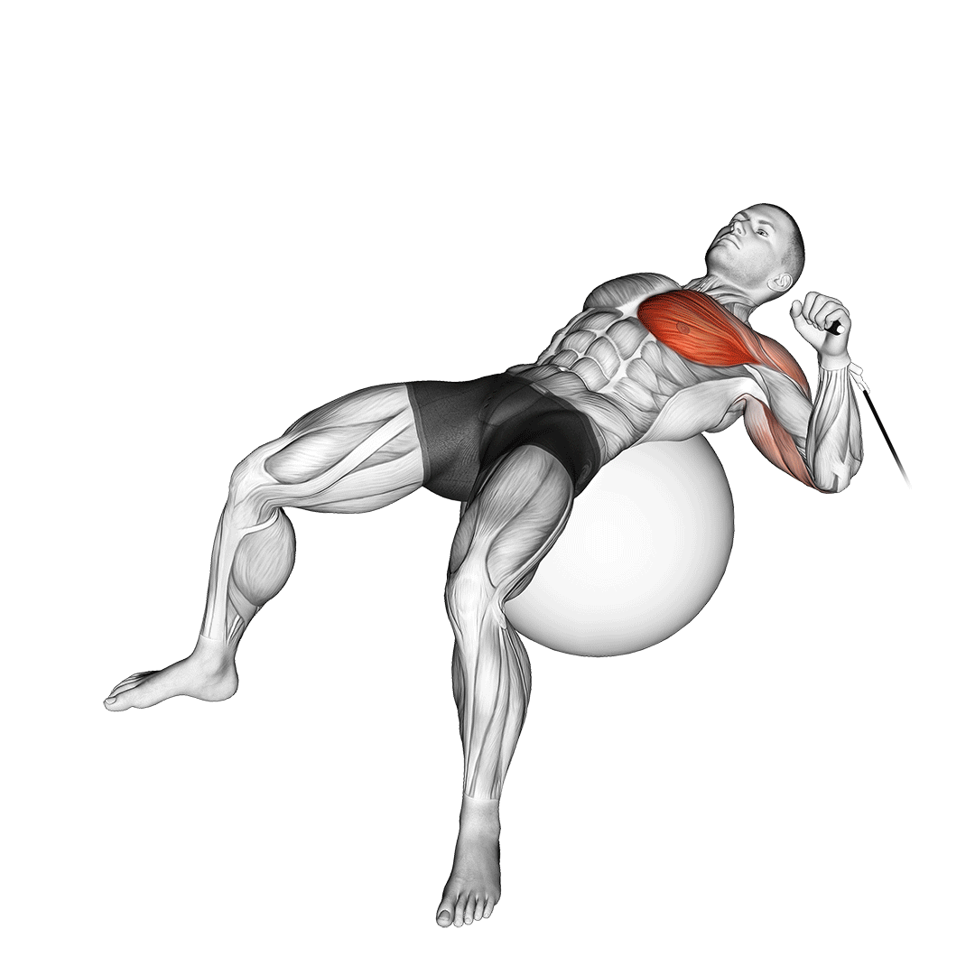 Exercise animation demo 4
